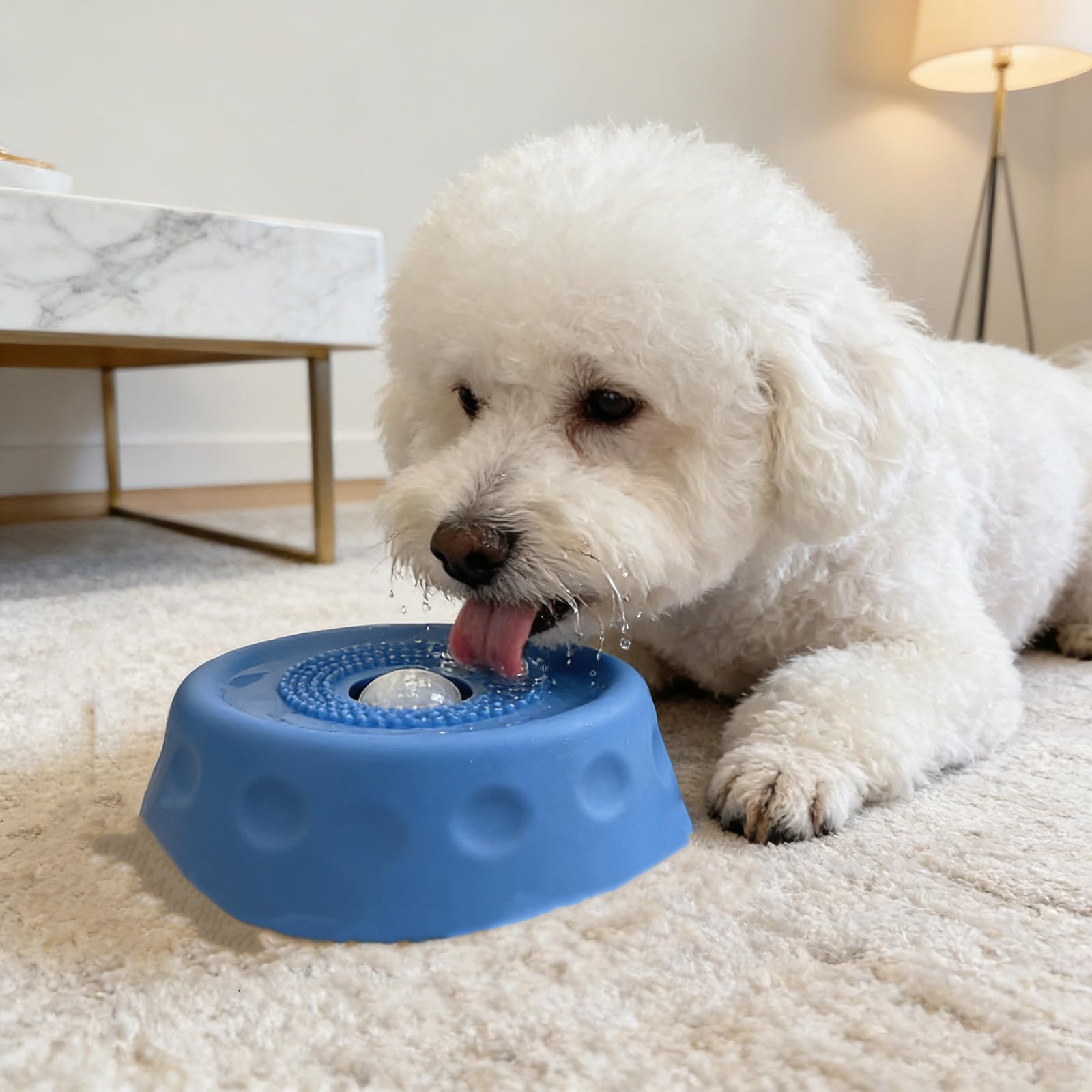 Slow Feeder Lick Bowl for Dogs
