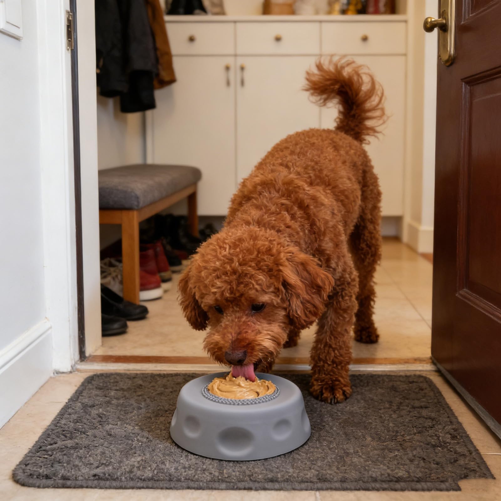 Calm-Down Slow Feed Lick Bowl