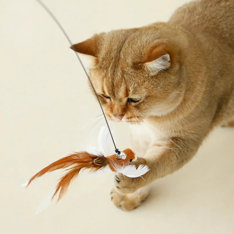Hands-Free Feather Cat Wand